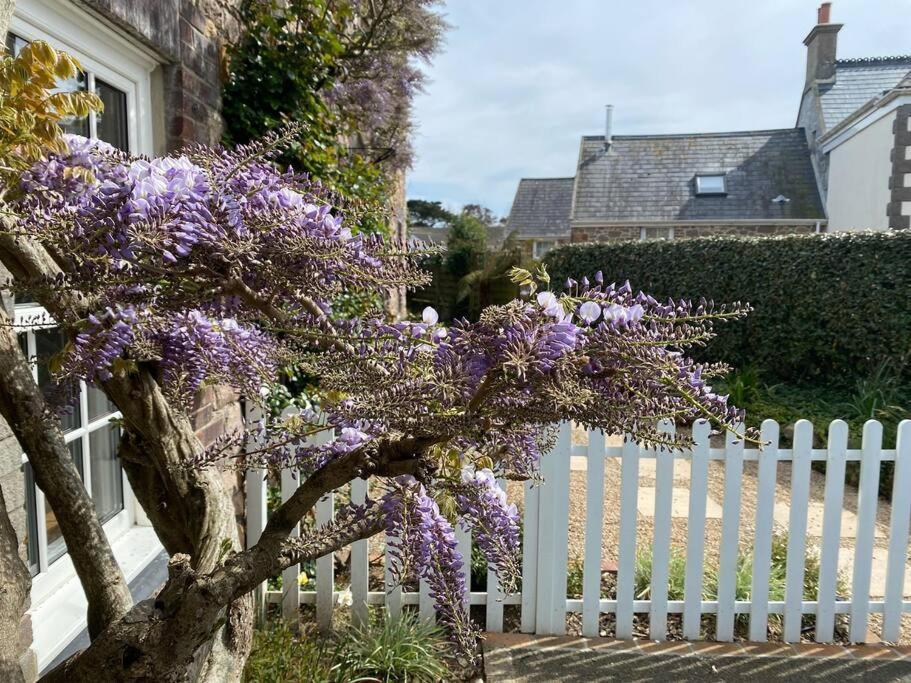 Country Cottage With Private Garden Close To Beach St Mary Eksteriør bilde